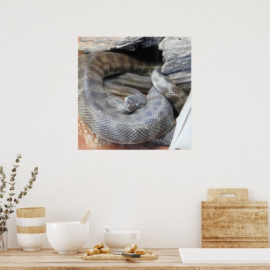 Poster Python de Stimson (Cuisine)