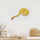 Poster Python jaune clair (Cuisine)