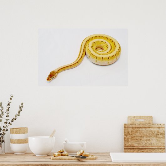 Poster Python jaune clair (Cuisine)