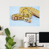 Poster Python jaune et noir 2 (Bureau à domicile)