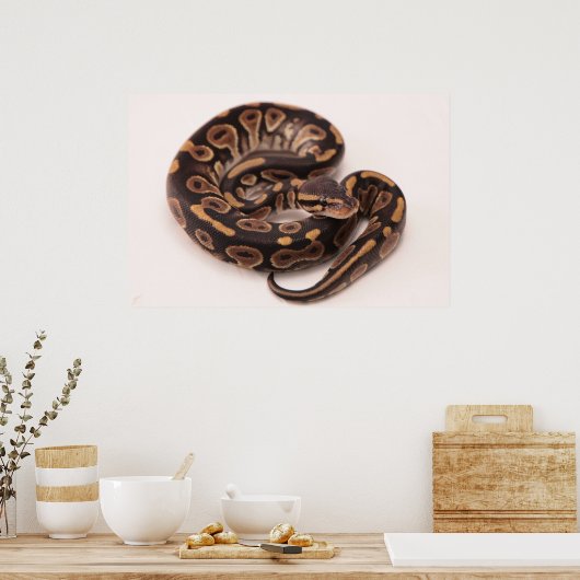 Poster Python noir et jaune (Cuisine)