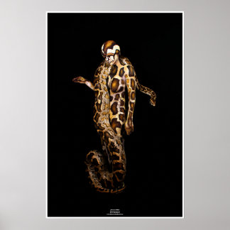 Poster Python par Johannes Stötter