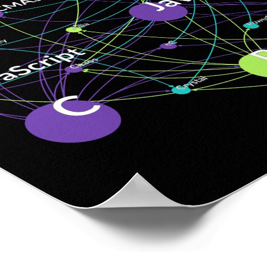 Poster Python Programmation Language Influence Network (Coin)