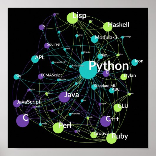 Poster Python Programmation Language Influence Network (Devant)
