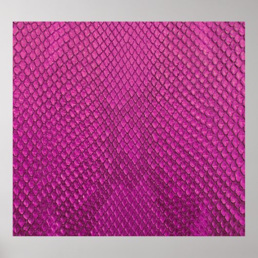Poster Python rose : Texture de la peau de serpent. (Devant)