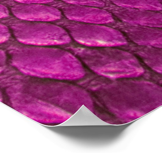 Poster Python rose : Texture de la peau de serpent. (Coin)