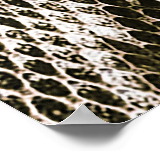 Poster Python Skin : Design Motif animal (Coin)