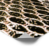 Poster python skin, snake pattern, animal skin pattern de (Coin)