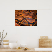 Poster Python Snake (Cuisine)