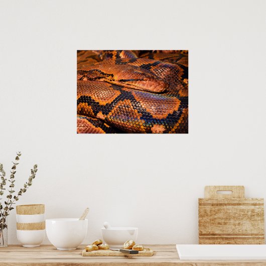 Poster Python Snake (Cuisine)