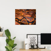 Poster Python Snake (Bureau à domicile)