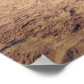 Poster Quai à Hermosa Beach (Coin)