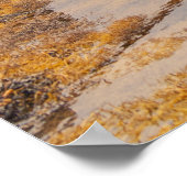 Poster Quai écossais de bois (Coin)