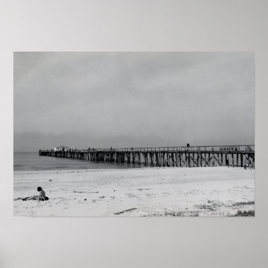 Poster Quai Naples Florida (Devant)