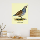 Poster Quail à échelle (Cuisine)