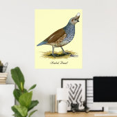 Poster Quail à échelle (Bureau à domicile)