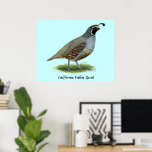 Poster Quail de la Californie (Bureau à domicile)
