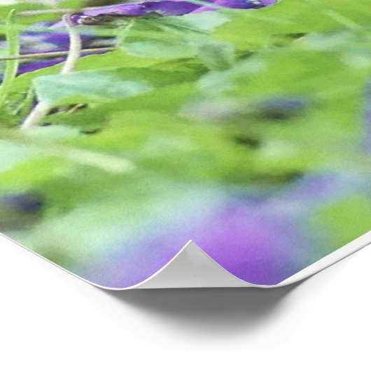 Poster Quail sauvage (Coin)