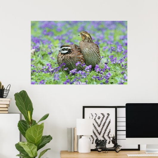 Poster Quail sauvage (Bureau à domicile)