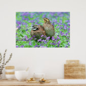 Poster Quail sauvage (Cuisine)