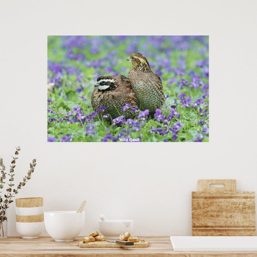 Poster Quail sauvage (Cuisine)