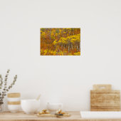 Poster Quaking peuplier de tremble en couleur d'automne d (Cuisine)