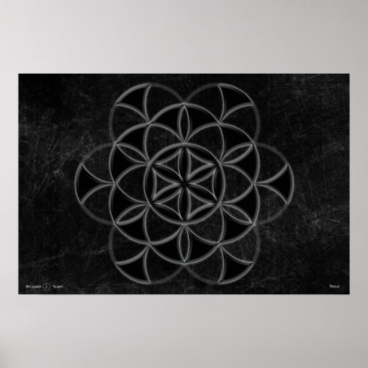 Poster Qualia (Devant)