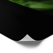 Poster Qualité aléatoire (Coin)