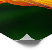 Poster Quand la fleur ne fleurit pas... (Coin)