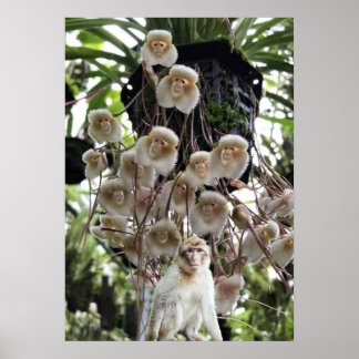 Poster Quand la nature copie la nature.