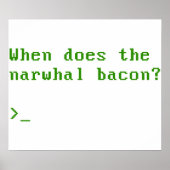 Poster Quand la question Reddit VGA de Narwhal Bacon (Devant)
