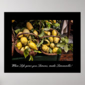 Poster Quand La Vie Vous Donne Des Citrons Font Du Limonc (Devant)