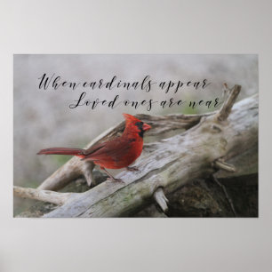 Poster Quand les cardinaux apparaissent, les proches sont
