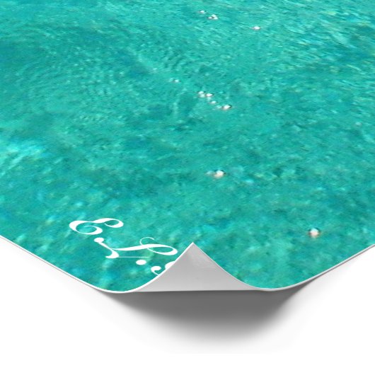 Poster Quand les cochons nagent (Coin)