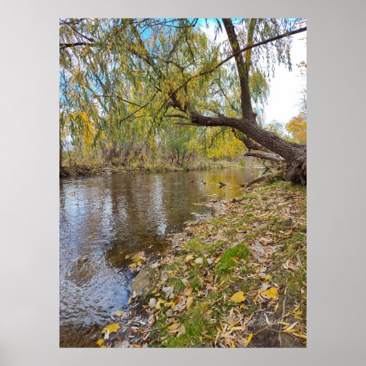 Poster Quand les Feuilles jouent une mélodie (Devant)