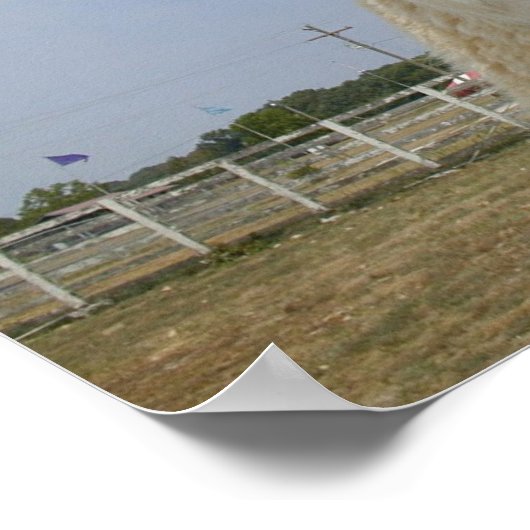 Poster Quand les lamas attaquent (Coin)