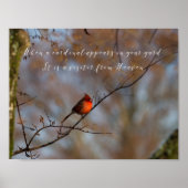 Poster Quand un cardinal apparaît, photographier (Devant)