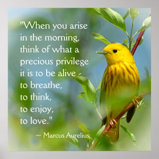 Poster Quand Vous Aristez Marcus Aurelius Citation Inspir (Devant)