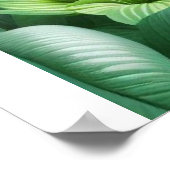 Poster Quand vous éduquez une fille, vous éduquez une nat (Coin)