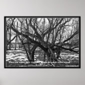 Poster "Quand vous réalisez qu'il n'y a rien de manquant. (Devant)