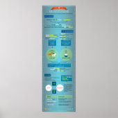 Poster Quantificateurs : conseils et astuces (Devant)