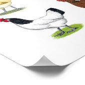 Poster Quarante-huit Hen Promo (Coin)