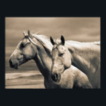 Poster Quart De Chevaux Sur Les Prairies Canadiennes<br><div class="desc">Chevaux De Trimestre Sur Les Prairies Canadiennes,  Grands Bandes Mouteuses,  Saskatchewan | DanitaDelimont.com | Images de conception (DPI) | CN01 DPI0509</div>