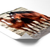 Poster Quarter Horse Art (Coin)