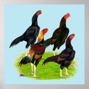 Poster Quartet de jeu oriental Fowl