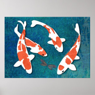Poster Quartet d'Orange & White Kohaku Koi