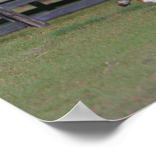 Poster Quartier Cheval et Miniature ensemble (Coin)