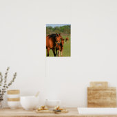 Poster Quartier Cheval Mare Et Foie Debout (Cuisine)