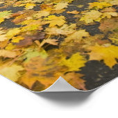 Poster Quartier Est En Automne (Coin)