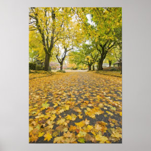 Poster Quartier Est En Automne